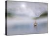 Scotch Mist!-Adrian Campfield-Stretched Canvas