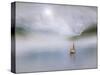 Scotch Mist!-Adrian Campfield-Stretched Canvas