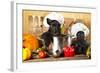 Scotch Terrier Kitchen Boy in a Saucepan, Cook Puppies-Lilun-Framed Photographic Print