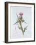 Scotch Thistle, Painted at Brantwood, 6th November 1866-William James Linton-Framed Giclee Print