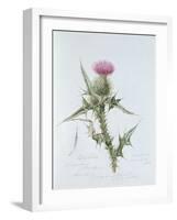 Scotch Thistle, Painted at Brantwood, 6th November 1866-William James Linton-Framed Giclee Print