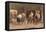Scotland after Culloden-null-Framed Stretched Canvas