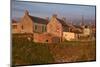 Scotland, Buchan Ness, Houses-Thomas Ebelt-Mounted Photographic Print