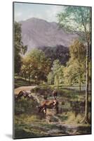 'Scotland', c1930s-Donald Mcleish-Mounted Giclee Print