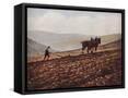 Framed Canvas