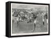 Scotland Defeat England at Blackheath by 18-3-null-Framed Stretched Canvas