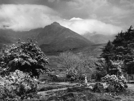 Photographic Print, , large