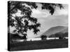 Scotland, Loch Voil-Fred Musto-Stretched Canvas