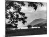 Scotland, Loch Voil-Fred Musto-Mounted Photographic Print