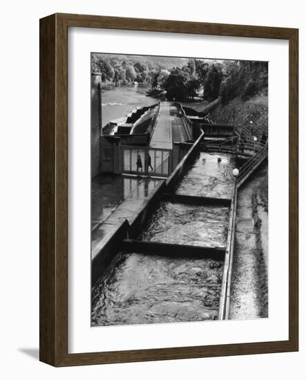 Scotland, Pitlochry-null-Framed Photographic Print