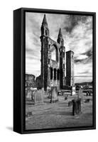 Scotland, St. Andrews, Old Cathedral, Ruin, B / W-Thomas Ebelt-Framed Stretched Canvas