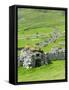 Scotland, St Kilda Archipelago, Hirta Island, Abandoned Settlement-Martin Zwick-Framed Stretched Canvas