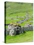 Scotland, St Kilda Archipelago, Hirta Island, Abandoned Settlement-Martin Zwick-Stretched Canvas