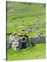 Scotland, St Kilda Archipelago, Hirta Island, Abandoned Settlement-Martin Zwick-Stretched Canvas