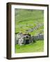 Scotland, St Kilda Archipelago, Hirta Island, Abandoned Settlement-Martin Zwick-Framed Photographic Print