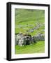 Scotland, St Kilda Archipelago, Hirta Island, Abandoned Settlement-Martin Zwick-Framed Photographic Print