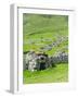 Scotland, St Kilda Archipelago, Hirta Island, Abandoned Settlement-Martin Zwick-Framed Photographic Print