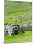 Scotland, St Kilda Archipelago, Hirta Island, Abandoned Settlement-Martin Zwick-Mounted Photographic Print