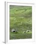 Scotland, St Kilda Archipelago, Hirta Island, Abandoned Settlement-Martin Zwick-Framed Premium Photographic Print