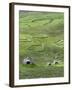 Scotland, St Kilda Archipelago, Hirta Island, Abandoned Settlement-Martin Zwick-Framed Premium Photographic Print