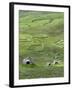 Scotland, St Kilda Archipelago, Hirta Island, Abandoned Settlement-Martin Zwick-Framed Premium Photographic Print