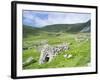 Scotland, St Kilda Archipelago, Hirta Island, Abandoned Settlement-Martin Zwick-Framed Photographic Print