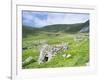 Scotland, St Kilda Archipelago, Hirta Island, Abandoned Settlement-Martin Zwick-Framed Photographic Print