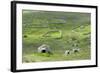 Scotland, St Kilda Archipelago, Hirta Island, Abandoned Settlement-Martin Zwick-Framed Photographic Print