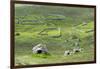 Scotland, St Kilda Archipelago, Hirta Island, Abandoned Settlement-Martin Zwick-Framed Photographic Print