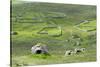 Scotland, St Kilda Archipelago, Hirta Island, Abandoned Settlement-Martin Zwick-Stretched Canvas