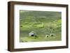 Scotland, St Kilda Archipelago, Hirta Island, Abandoned Settlement-Martin Zwick-Framed Photographic Print