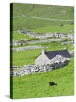 Scotland, St Kilda Islands, Hirta Island, Abandoned Settlement-Martin Zwick-Stretched Canvas