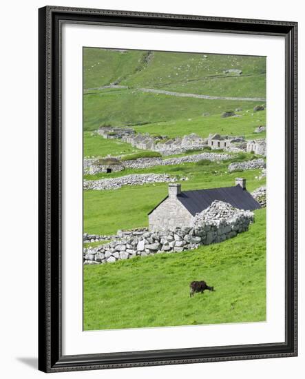 Scotland, St Kilda Islands, Hirta Island, Abandoned Settlement-Martin Zwick-Framed Photographic Print