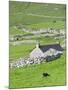 Scotland, St Kilda Islands, Hirta Island, Abandoned Settlement-Martin Zwick-Mounted Photographic Print