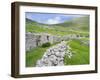 Scotland, St Kilda Islands, Hirta Island, Abandoned Settlement-Martin Zwick-Framed Premium Photographic Print