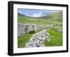 Scotland, St Kilda Islands, Hirta Island, Abandoned Settlement-Martin Zwick-Framed Premium Photographic Print