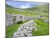 Scotland, St Kilda Islands, Hirta Island, Abandoned Settlement-Martin Zwick-Mounted Premium Photographic Print