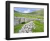 Scotland, St Kilda Islands, Hirta Island, Abandoned Settlement-Martin Zwick-Framed Photographic Print