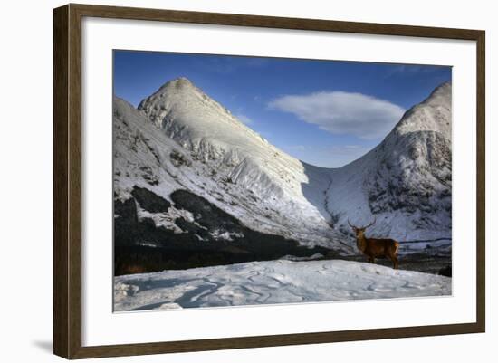 Scotland-Maciej Duczynski-Framed Photographic Print