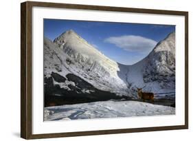 Scotland-Maciej Duczynski-Framed Photographic Print