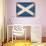 Scotland-David Bowman-Stretched Canvas displayed on a wall