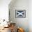 Scotland-David Bowman-Framed Giclee Print displayed on a wall