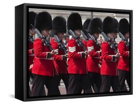 Scots Guards Marching Past Buckingham Palace, Rehearsal for Trooping the Colour, London, England, U-Stuart Black-Framed Stretched Canvas