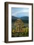 Scots pine and regenerating trees, Cairngorms, Scotland-null-Framed Photographic Print