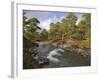 Scots Pine Forest and Lui Water, Deeside, Cairngorms National Park, Aberdeenshire, Scotland, UK-Gary Cook-Framed Photographic Print