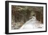 Scots Pine (Pinus sylvestris) forest habitat and track in snow, Abernethy Forest, Inverness-shire-Jack Chapman-Framed Photographic Print