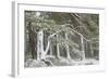 Scots Pine (Pinus Sylvestris) Woodland in Winter, Abernethy Nnr, Cairngorms Np, Scotland, UK-Mark Hamblin-Framed Photographic Print