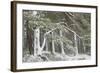 Scots Pine (Pinus Sylvestris) Woodland in Winter, Abernethy Nnr, Cairngorms Np, Scotland, UK-Mark Hamblin-Framed Photographic Print