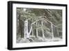 Scots Pine (Pinus Sylvestris) Woodland in Winter, Abernethy Nnr, Cairngorms Np, Scotland, UK-Mark Hamblin-Framed Photographic Print