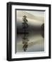 Scots Pine Tree Reflected in Lake at Dawn, Loch an Eilean, Scotland, UK-Pete Cairns-Framed Premium Photographic Print